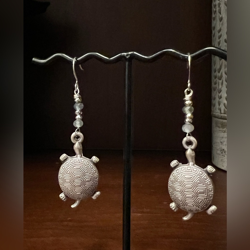Modern Turtle Silver Earrings with Minimalist Design